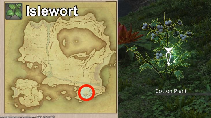 Map Location of Islewort and picture of Copper Plant