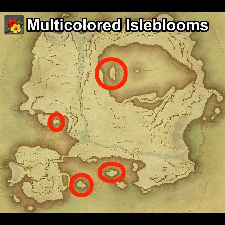 Main location of Multicolored Isleblooms on Island Sanctuary