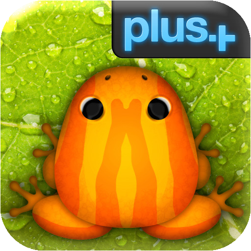 pocket frogs puzzle
