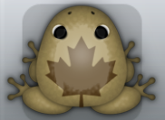 Beige Bruna Aceris Frog from Pocket Frogs