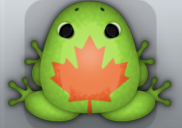 Green Carota Aceris Frog from Pocket Frogs