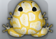 Golden Albeo Africanus Frog from Pocket Frogs