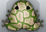 Olive Ceres Africanus Frog from Pocket Frogs