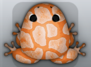 Tangelo Ceres Africanus Frog from Pocket Frogs