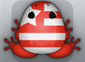 Red Albeo Americano Frog from Pocket Frogs