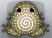 Beige Albeo Amfractus Frog from Pocket Frogs