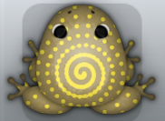 Beige Aurum Amfractus Frog from Pocket Frogs