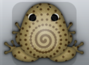 Beige Bruna Amfractus Frog from Pocket Frogs