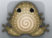 Beige Ceres Amfractus Frog from Pocket Frogs