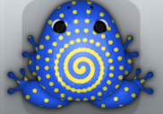 Blue Aurum Amfractus Frog from Pocket Frogs