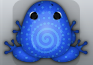 Blue Caelus Amfractus Frog from Pocket Frogs