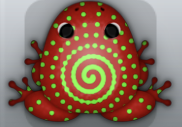 Maroon Muscus Amfractus Frog from Pocket Frogs