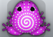 Pink Albeo Amfractus Frog from Pocket Frogs