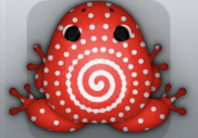 Red Albeo Amfractus Frog from Pocket Frogs