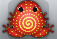 Red Aurum Amfractus Frog from Pocket Frogs