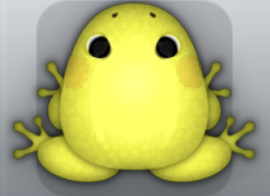 Yellow Aurum Anura Frog from Pocket Frogs