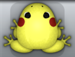 Yellow Tingo Anura Frog from Pocket Frogs
