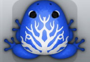Blue Albeo Arbor Frog from Pocket Frogs