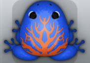 Blue Carota Arbor Frog from Pocket Frogs