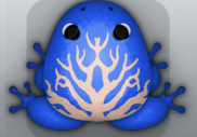 Blue Ceres Arbor Frog from Pocket Frogs