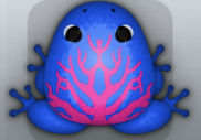 Blue Floris Arbor Frog from Pocket Frogs