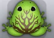 Green Bruna Arbor Frog from Pocket Frogs