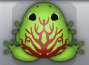Green Tingo Arbor Frog from Pocket Frogs
