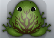 Olive Cafea Arbor Frog from Pocket Frogs