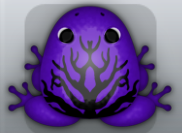 Purple Picea Arbor Frog from Pocket Frogs