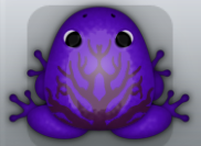 Purple Pruni Arbor Frog from Pocket Frogs