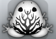 White Picea Arbor Frog from Pocket Frogs