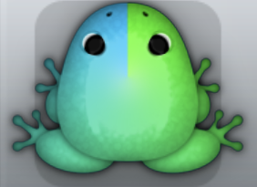 Azure Muscus Arcus Frog from Pocket Frogs