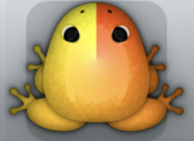 Yellow Carota Arcus Frog from Pocket Frogs