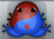 Blue Tingo Biplex Frog from Pocket Frogs