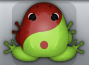 Green Tingo Biplex Frog from Pocket Frogs