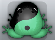 Marine Picea Biplex Frog from Pocket Frogs