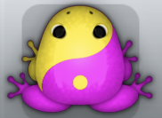 Pink Aurum Biplex Frog from Pocket Frogs