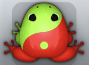 Red Folium Biplex Frog from Pocket Frogs