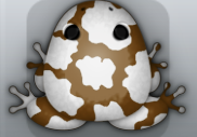 Cocos Albeo Bovis Frog from Pocket Frogs