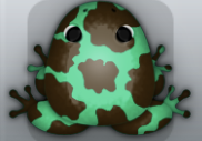 Marine Cafea Bovis Frog from Pocket Frogs