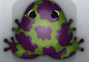 Olive Pruni Bovis Frog from Pocket Frogs