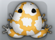 Orange Albeo Bovis Frog from Pocket Frogs