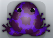 Purple Pruni Bovis Frog from Pocket Frogs