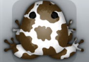 White Bruna Bovis Frog from Pocket Frogs