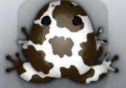 White Cafea Bovis Frog from Pocket Frogs