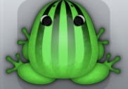 Emerald Picea Bulbus Frog from Pocket Frogs