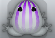 Glass Viola Bulbus Frog from Pocket Frogs