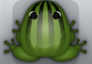 Olive Picea Bulbus Frog from Pocket Frogs