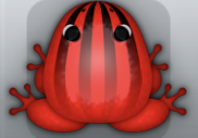 Red Picea Bulbus Frog from Pocket Frogs