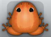 Tangelo Carota Bulbus Frog from Pocket Frogs